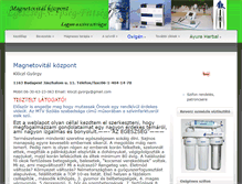 Tablet Screenshot of magnetovital.hu